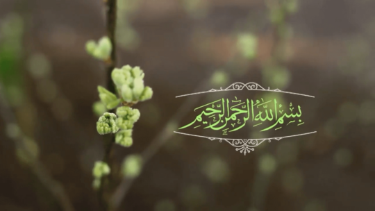 نهضت بازگشت به اسلام (۴)