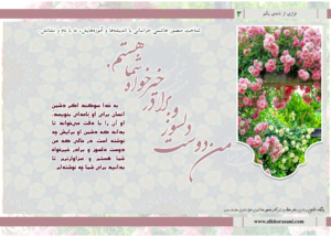 دوست دلسوز و برادر خیرخواه