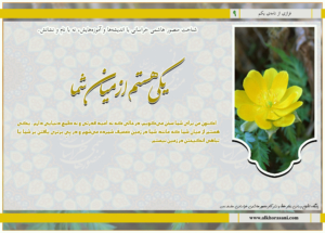 یکی هستم از میان شما