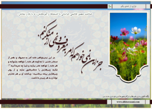 جز این نمی‌خواهم که امر به معروف و نهی از منکر کنم