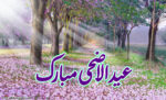 منصور ہاشمی خراسانی